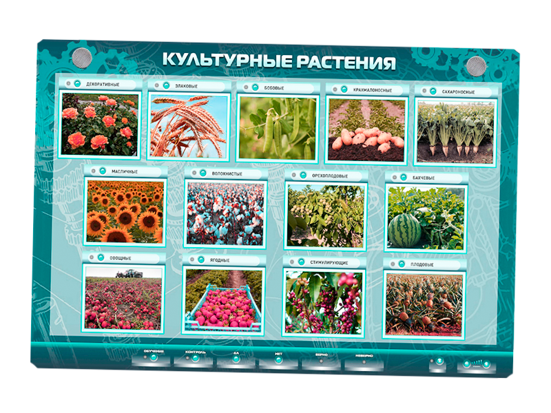 Электрифицированный стенд "Культурные растения"